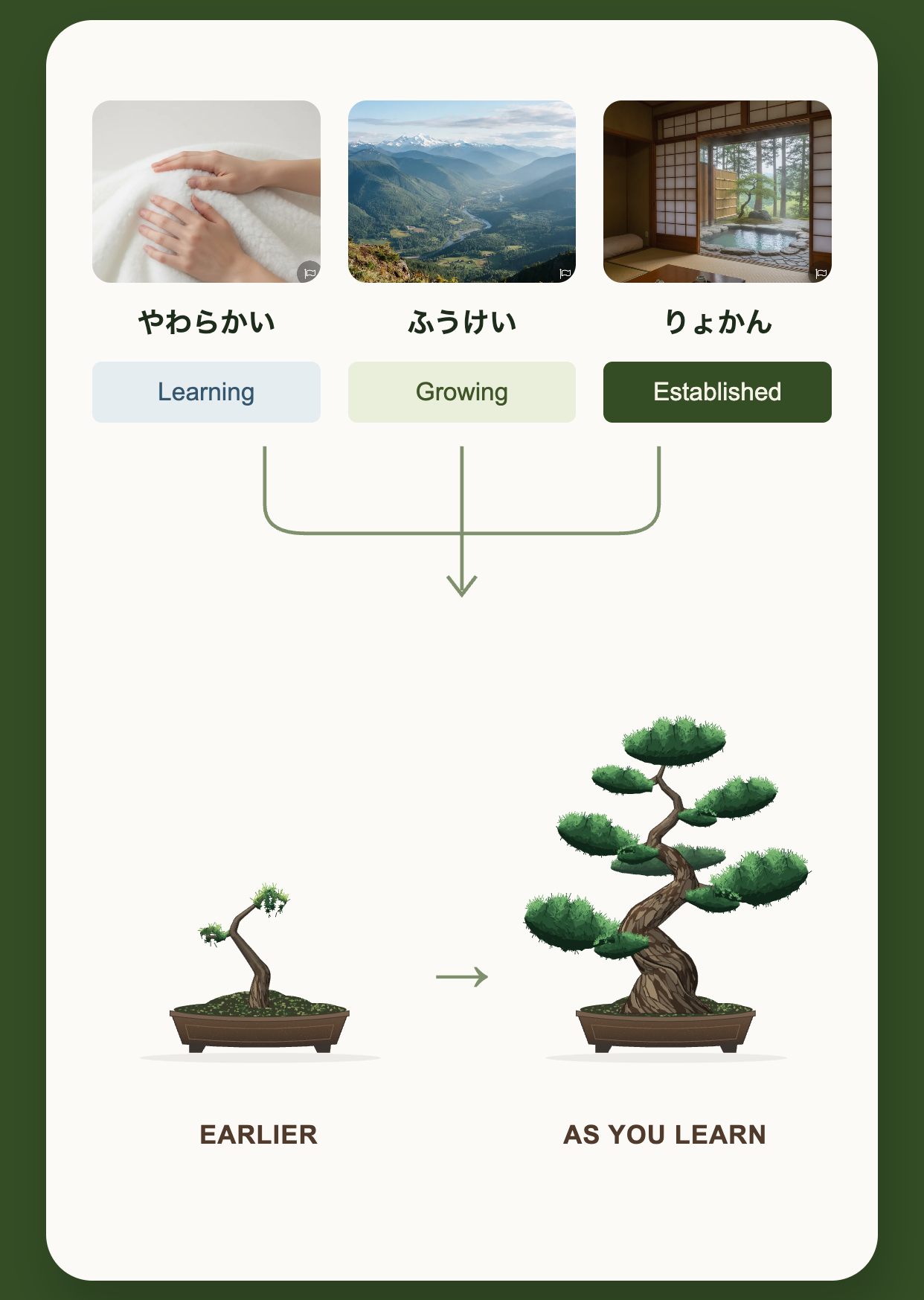 Words at different learning stages connect to an earlier small bonsai and a larger bonsai as learning progresses