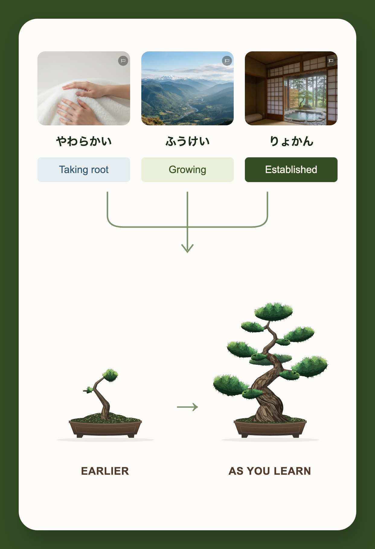 Words at different learning stages connect to an earlier small bonsai and a larger bonsai as learning progresses