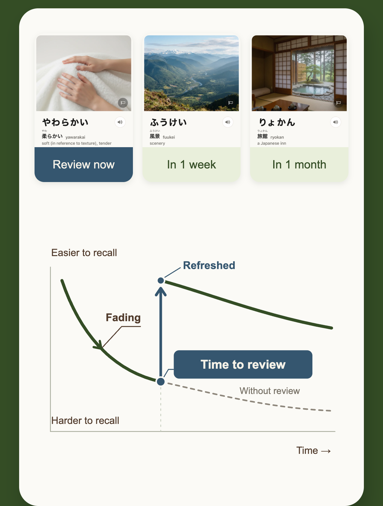 Three word cards with different review times and a memory curve showing fading recall refreshed by a review
