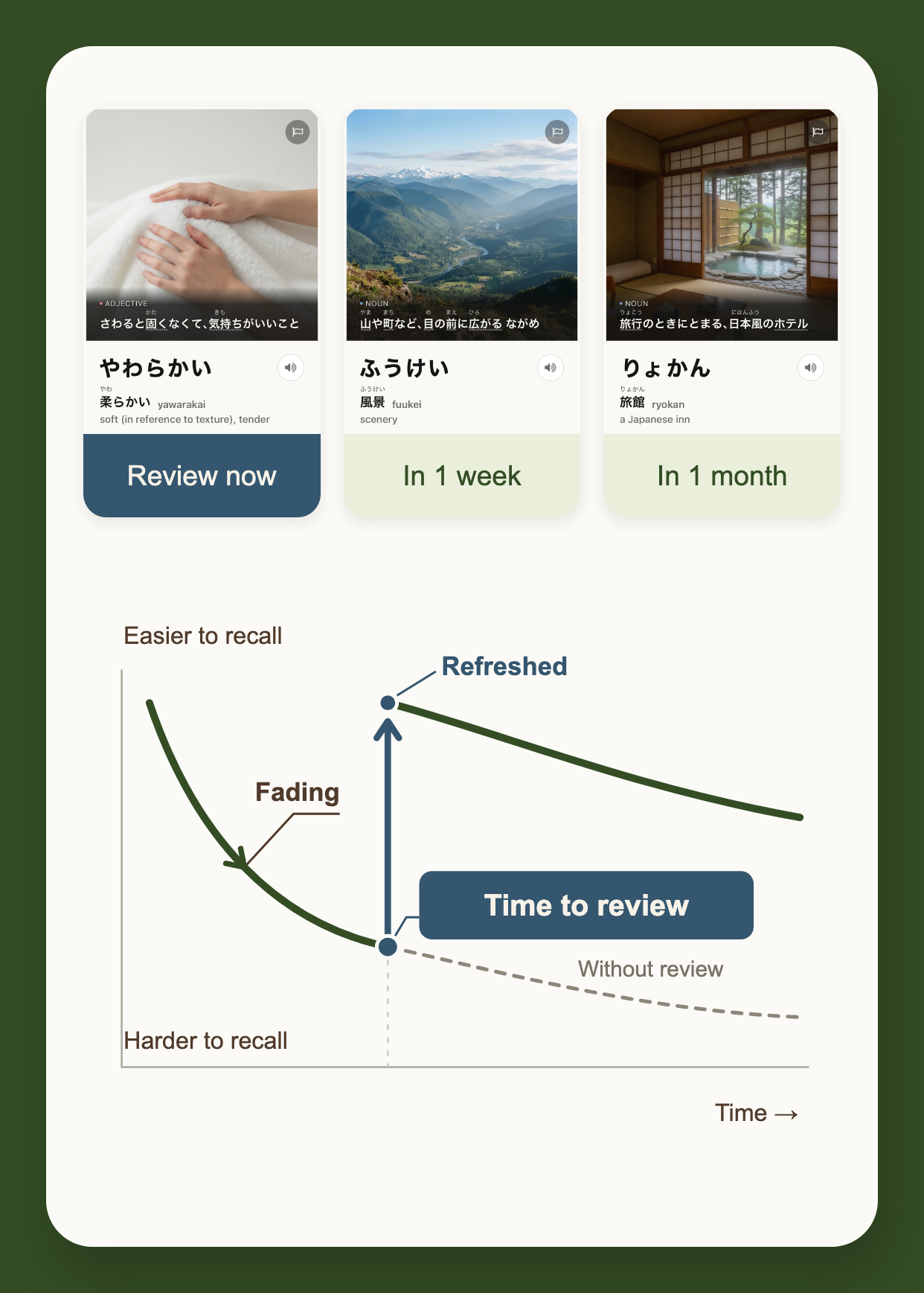 Three word cards with different review times and a memory curve showing fading recall refreshed by a review